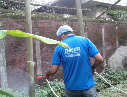 OUTSIDE SPRAYING- ZP02