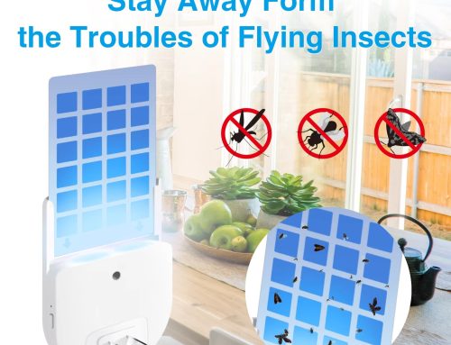 Fly Cather Indoor Plug in Glue Trap JZGT03